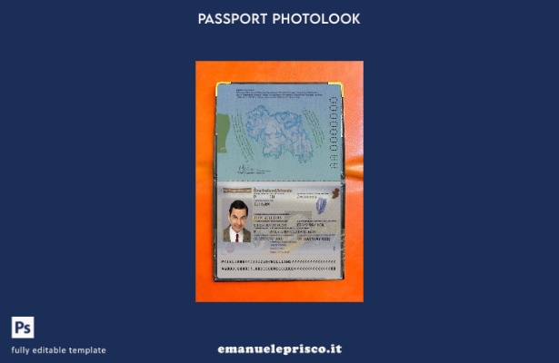 modello di aspetto fotografico del passaporto irlandese in stile verificato